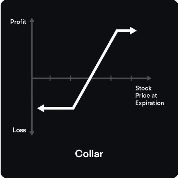 swiper-item2.24524f89dc